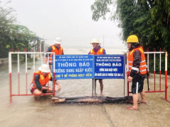 Ảnh bìa bài viết 903530