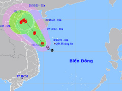 Ảnh bìa bài viết 903547
