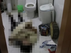 Ảnh bìa bài viết 903555