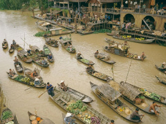 Ảnh bìa bài viết 903858