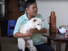 Ảnh bìa bài viết 903837