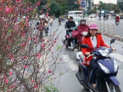 Ảnh bìa bài viết 903737