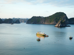 Ảnh bìa bài viết 904125