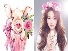 Ảnh bìa bài viết 904282