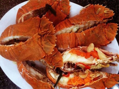 Ảnh bìa bài viết 904472
