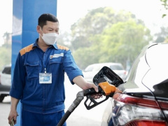 Ảnh bìa bài viết 904536