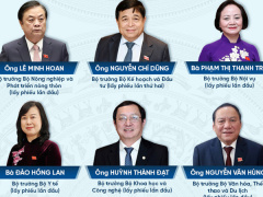 Ảnh bìa bài viết 904778