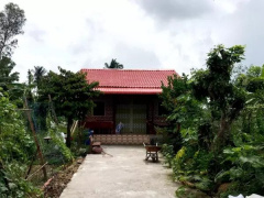 Ảnh bìa bài viết 904965
