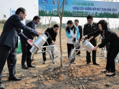 Ảnh bìa bài viết 905022