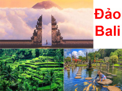 Ảnh bìa bài viết 905512