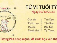 Ảnh bìa bài viết 905402