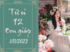 Ảnh bìa bài viết 905742