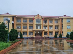 Ảnh bìa bài viết 905899