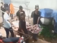 Ảnh bìa bài viết 905985
