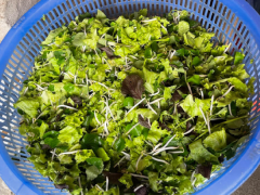 Ảnh bìa bài viết 905998
