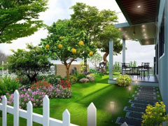 Ảnh bìa bài viết 905978