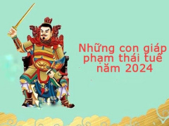 Ảnh bìa bài viết 906172