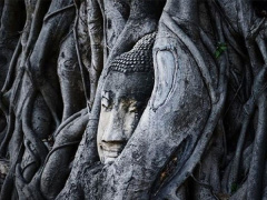 Ảnh bìa bài viết 906227