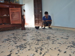 Ảnh bìa bài viết 906343