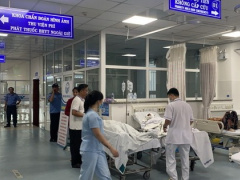 Ảnh bìa bài viết 906480