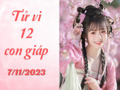 Ảnh bìa bài viết 906644
