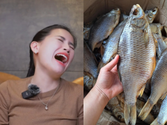 Ảnh bìa bài viết 906574
