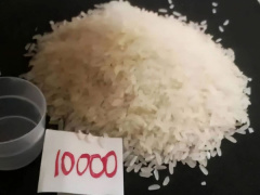 Ảnh bìa bài viết 906667