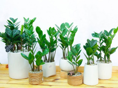 Ảnh bìa bài viết 906936