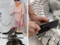 Ảnh bìa bài viết 906898