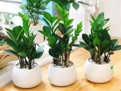Ảnh bìa bài viết 907283