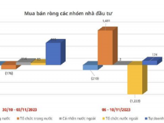 Ảnh bìa bài viết 907514