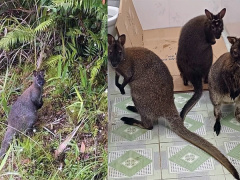 Ảnh bìa bài viết 907502