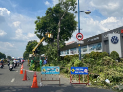 Ảnh bìa bài viết 907547