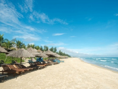 Ảnh bìa bài viết 907836