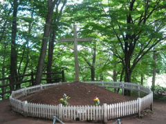 Ảnh bìa bài viết 907757