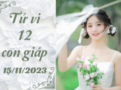 Ảnh bìa bài viết 907914