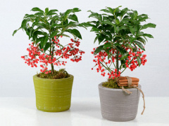 Ảnh bìa bài viết 907986