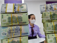 Ảnh bìa bài viết 908005
