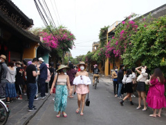 Ảnh bìa bài viết 908392