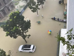 Ảnh bìa bài viết 908505