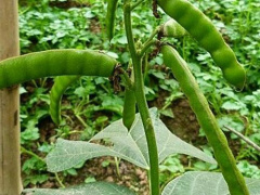 Ảnh bìa bài viết 908651