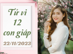 Ảnh bìa bài viết 908996