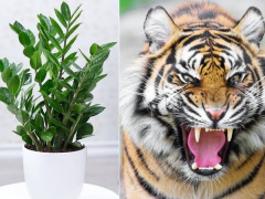 Ảnh bìa bài viết 909310