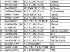Ảnh bìa bài viết 909336