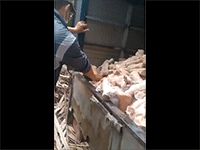 Ảnh bìa bài viết 909577