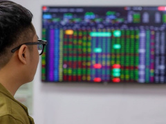 Ảnh bìa bài viết 909646