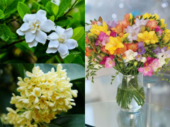Ảnh bìa bài viết 909869