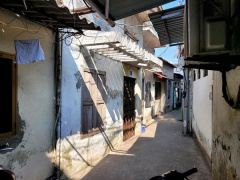 Ảnh bìa bài viết 910083