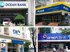 Ảnh bìa bài viết 910355