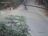 Ảnh bìa bài viết 910335